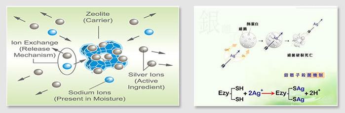 銀離子抗菌原理.jpg