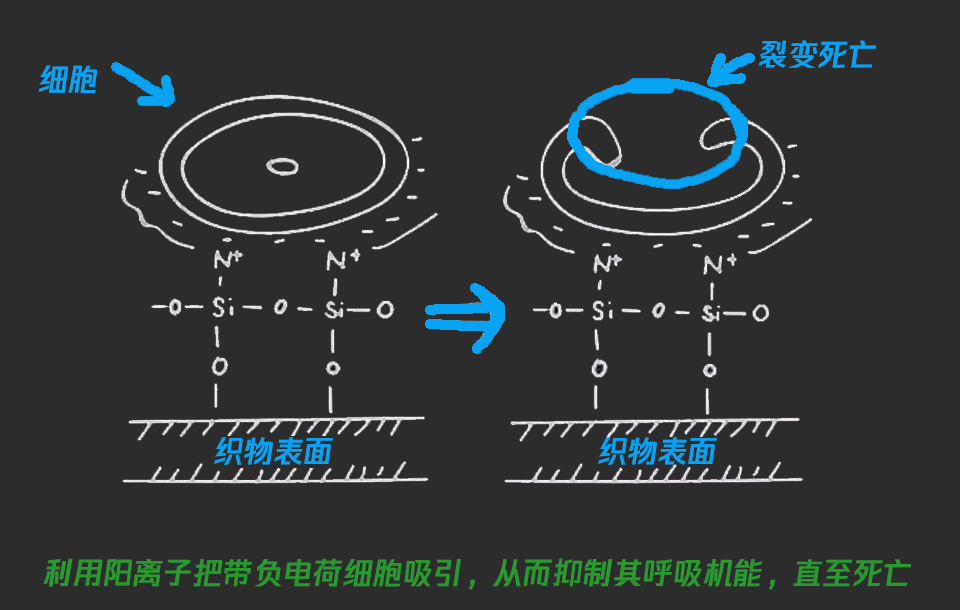 1551860602480362.jpg 1551771168562069.jpg