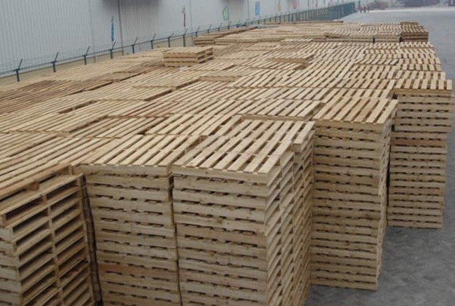 1552532327295586.jpg 7261ddad8c1ccb01153529c74ac5a71c.jpg