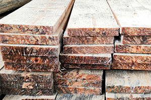 木材防霉,木材發(fā)霉