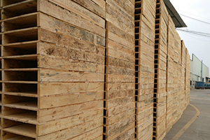 木材防霉,木材發(fā)霉