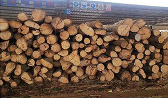 木材防霉,木材發(fā)霉,橡膠木