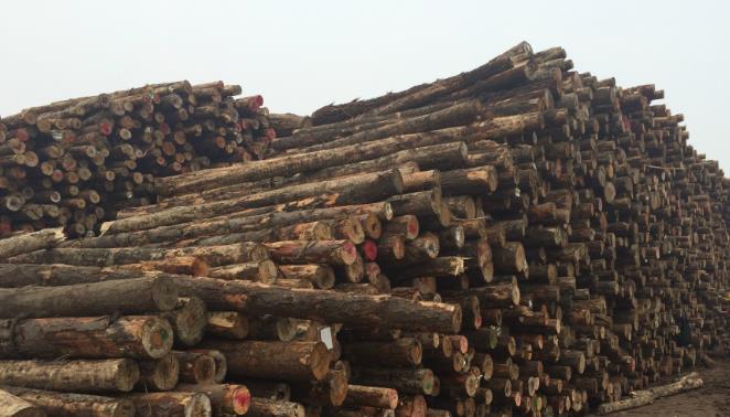 木材變色,木材防霉