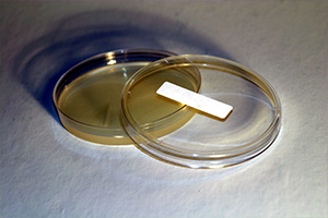 有機(jī)抗菌劑,分類,抗菌劑