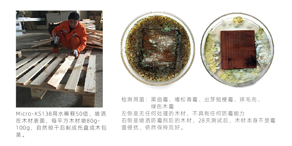 1562038330110619.jpg 1562038330110619.jpg