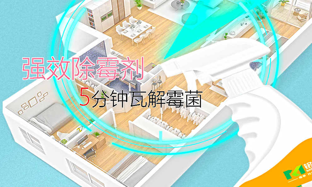 除霉劑,WC1315,墻壁